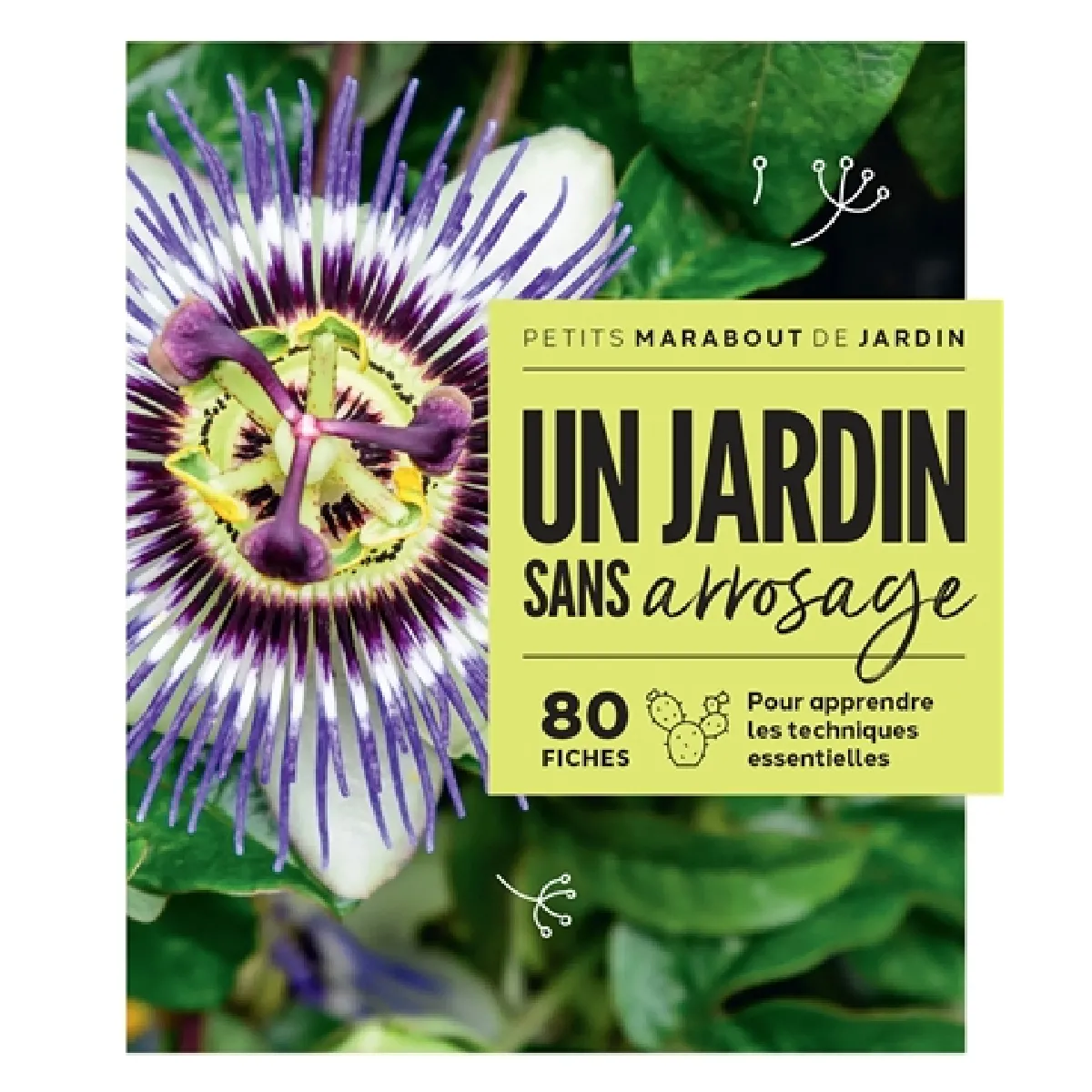 Un jardin sans arrosage : 80 fiches pour apprendre les techniques essentielles · Occasion