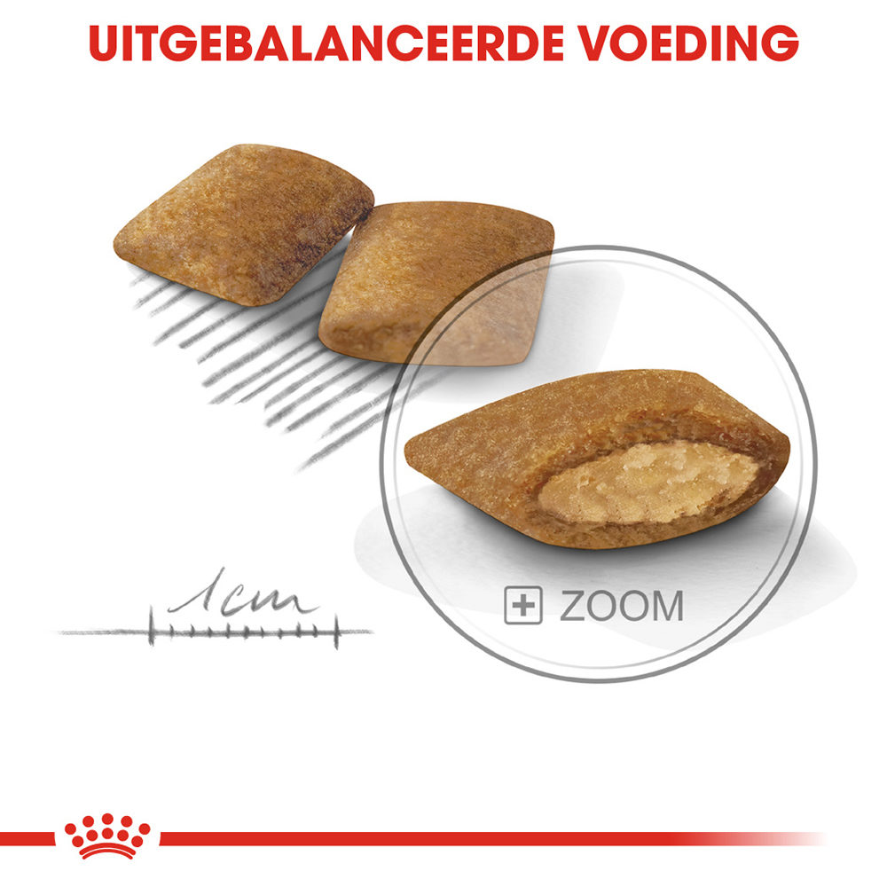 Royal Canin Mini Exigent - Hondenvoer