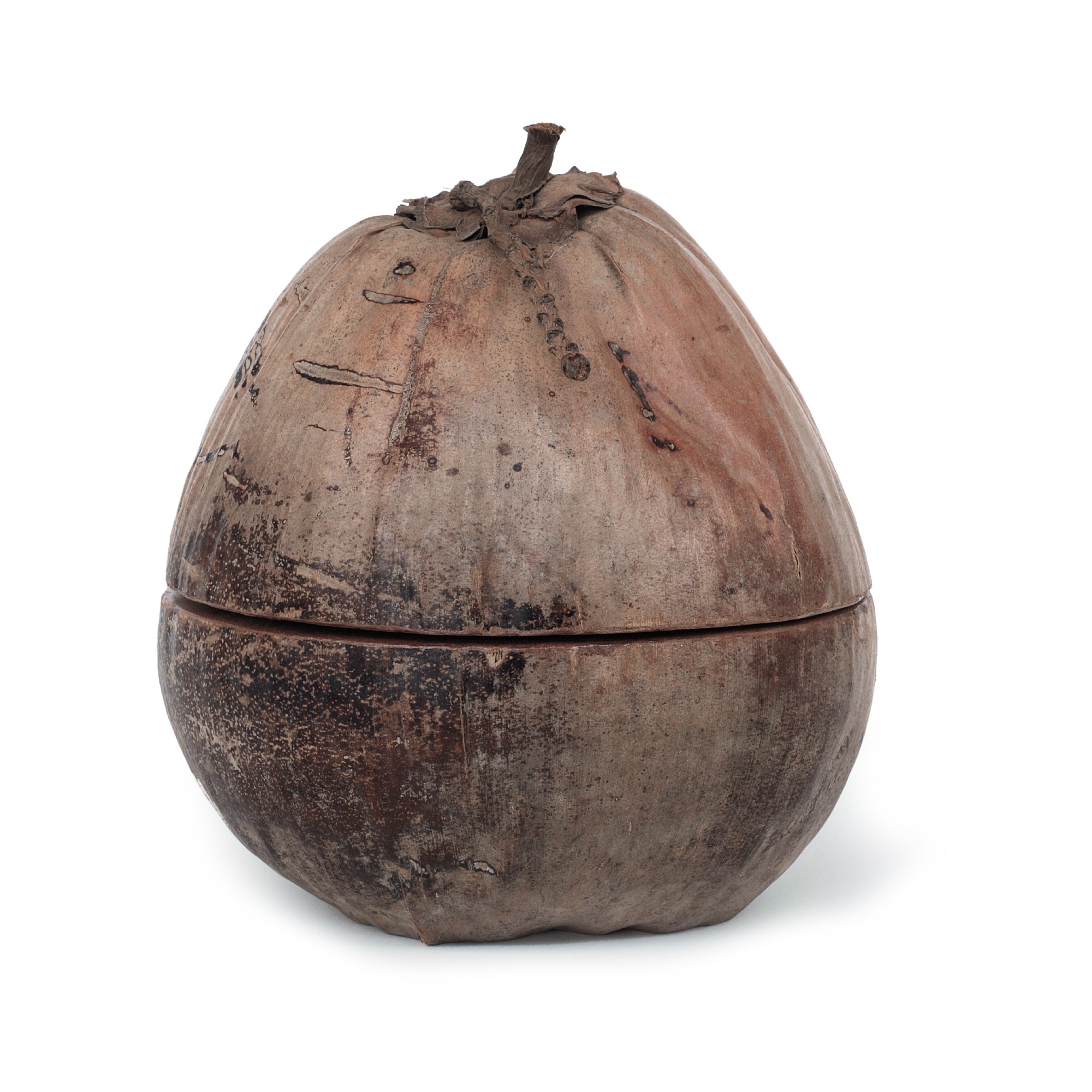 Kokosnuss-Box mit Deckel, natur, Ø 20 cm, H 25 cm von fischer's lagerhaus