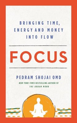 Focus: Bringing Time, Energy and Money into Flow (Paperback)