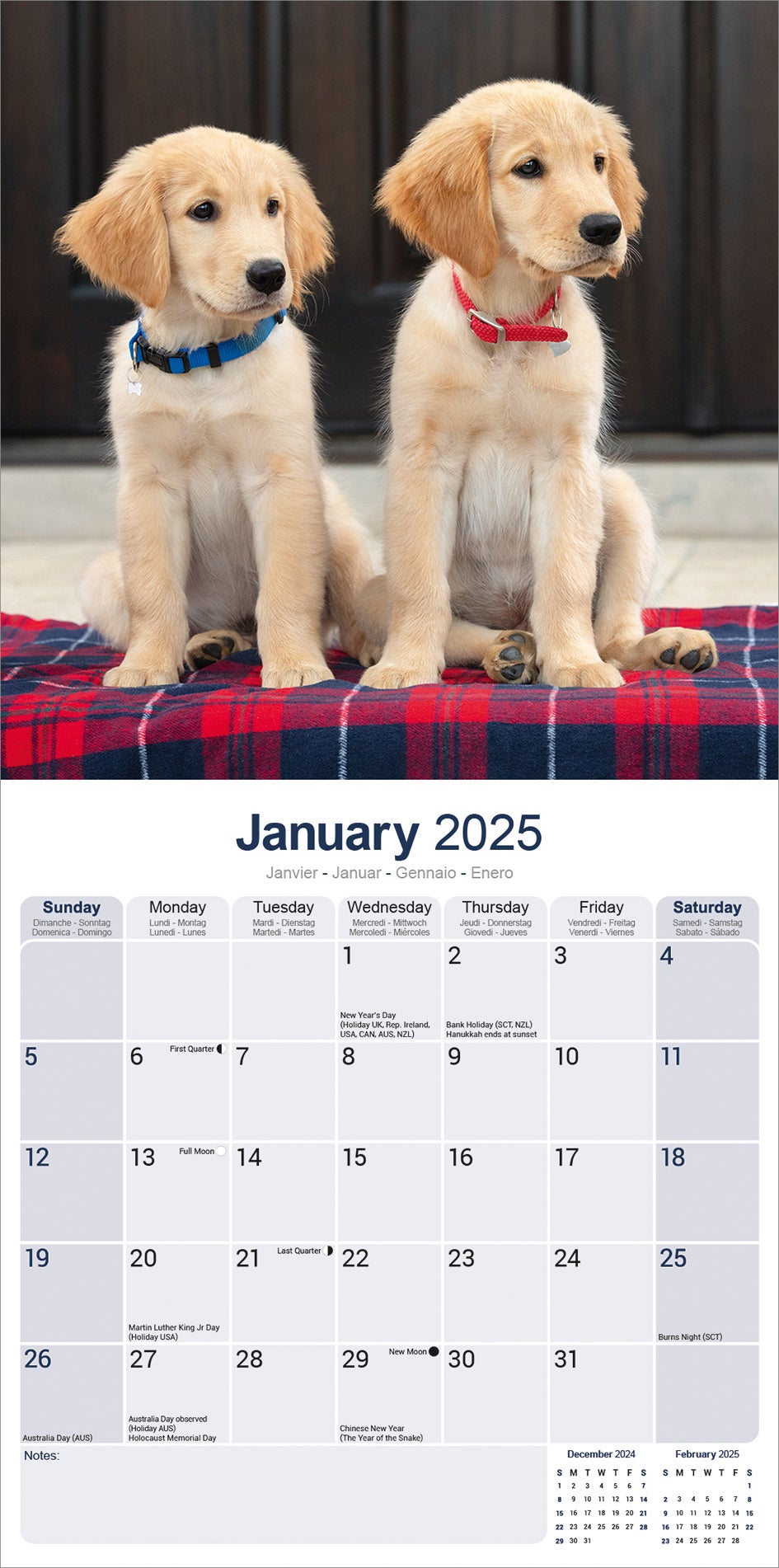 Plenty Gifts kalender golden retriever 30 x 30 x 0,5 cm