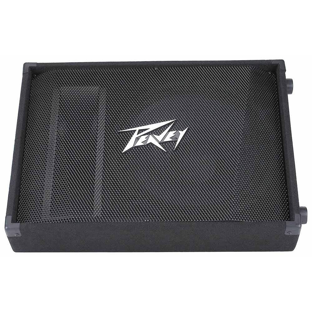 Peavey PV 15M passieve vloermonitor