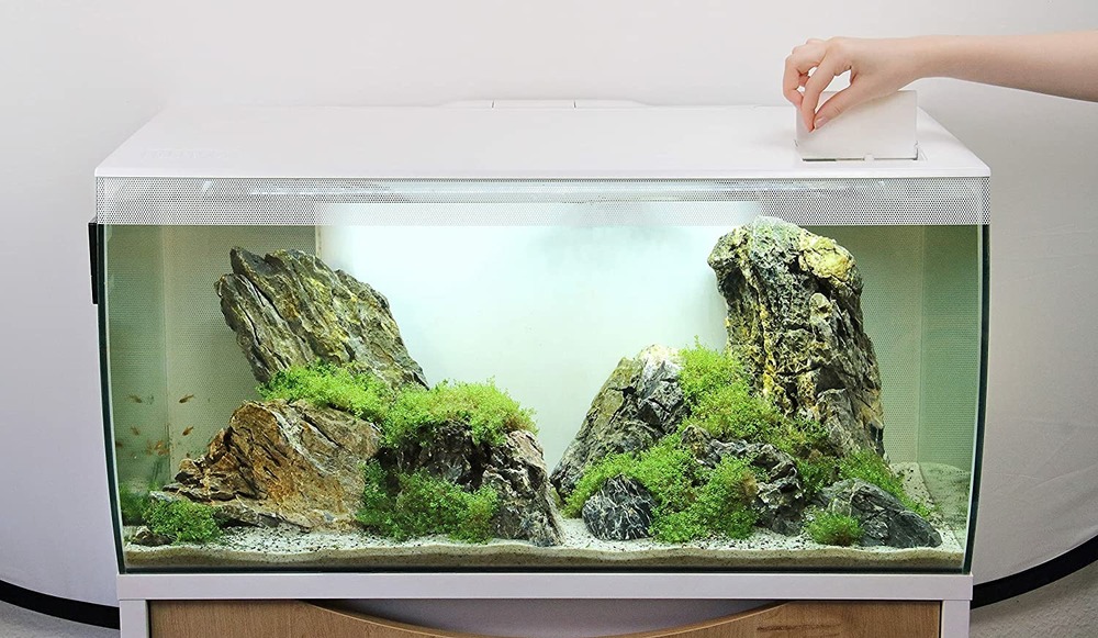 Aquarium d'eau douce blanc flex 123l