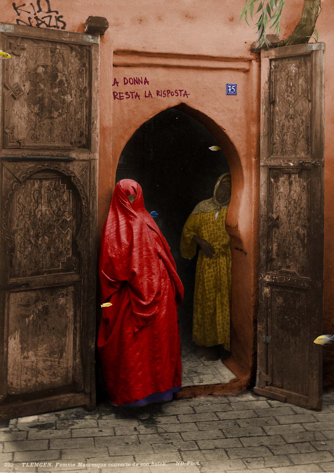 Tlemcen von corentin sauvage