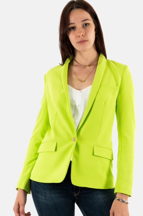 blousons et vestes morgan 231-vcris.f anis