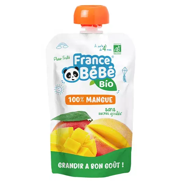 France Bébé Nutrition Bolsa Manga +4m Bio 100g