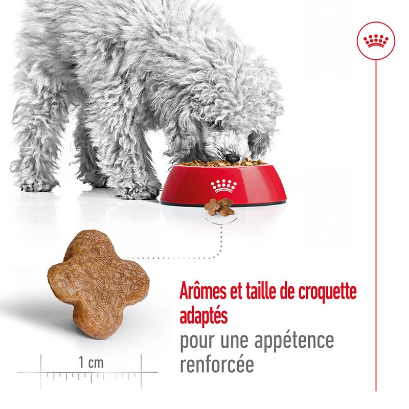 Royal Canin Mini Adult 8+ à prix discount sur bitiba.fr