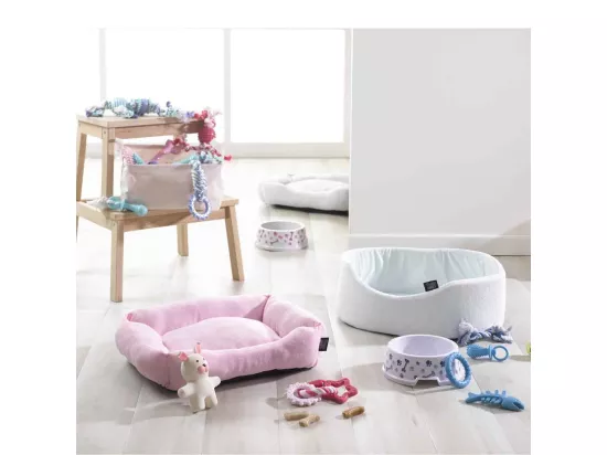 Jouet Anneau pour Chien & Chat 