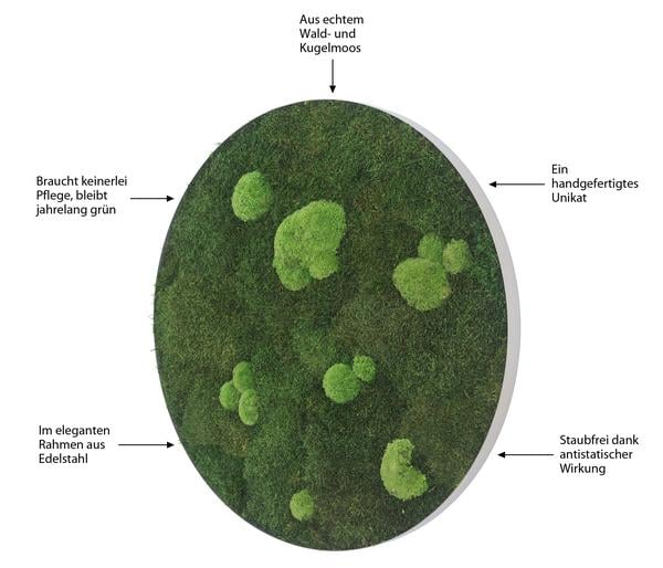 styleGREEN Bild aus Wald- und Kugelmoos,