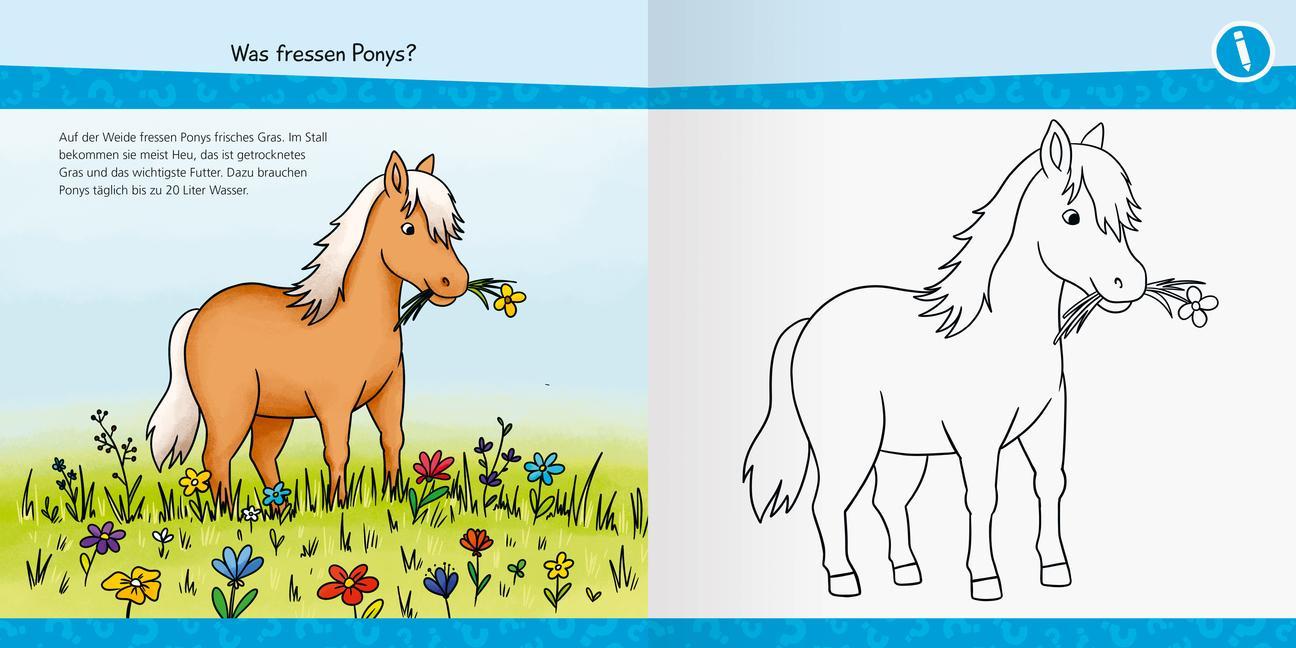 Wieso? Weshalb? Warum? junior AKTIV: Auf dem Ponyhof