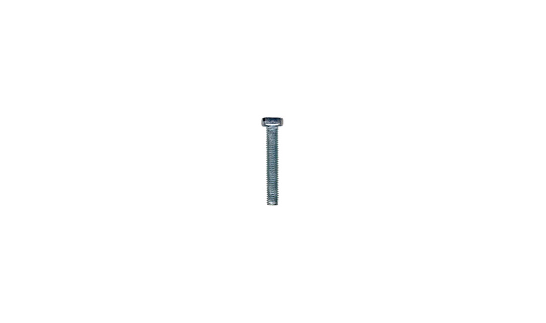 Skrue M5 x 30 mm