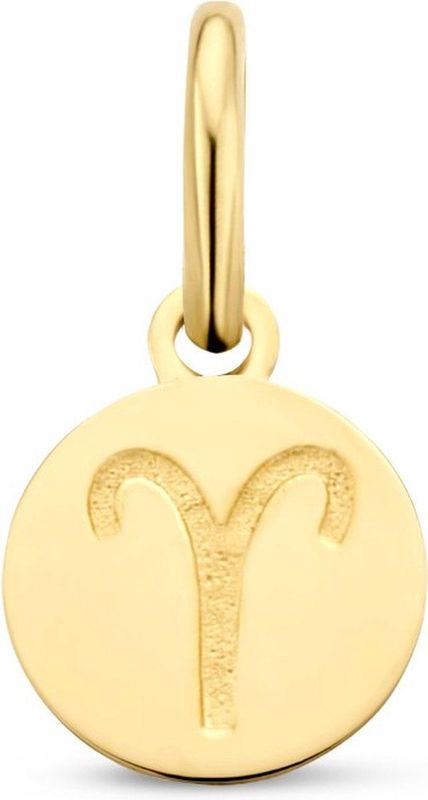 Geelgouden Hanger - Sterrenbeeld Boogschutter - 14k - Hoogte 1.2 cm - Diameter 6 mm