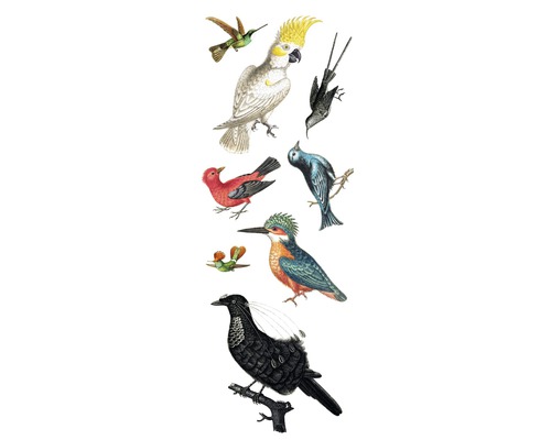 Muurstickers Vogels 25x70 cm