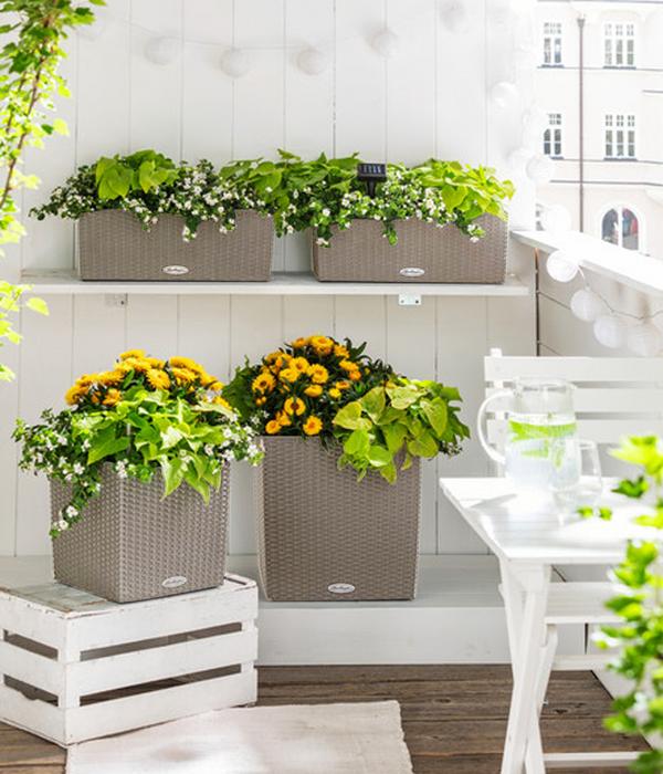 LECHUZA® Kunststoff-Topf Cube Cottage,