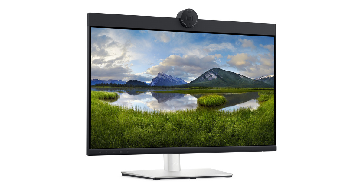 DellP2424HEB 23.8