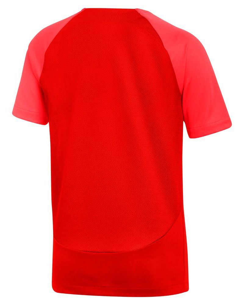 Maillot Nike Academy Pro Rouge pour enfant