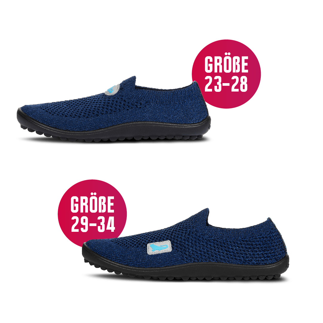 leguanito scio blue