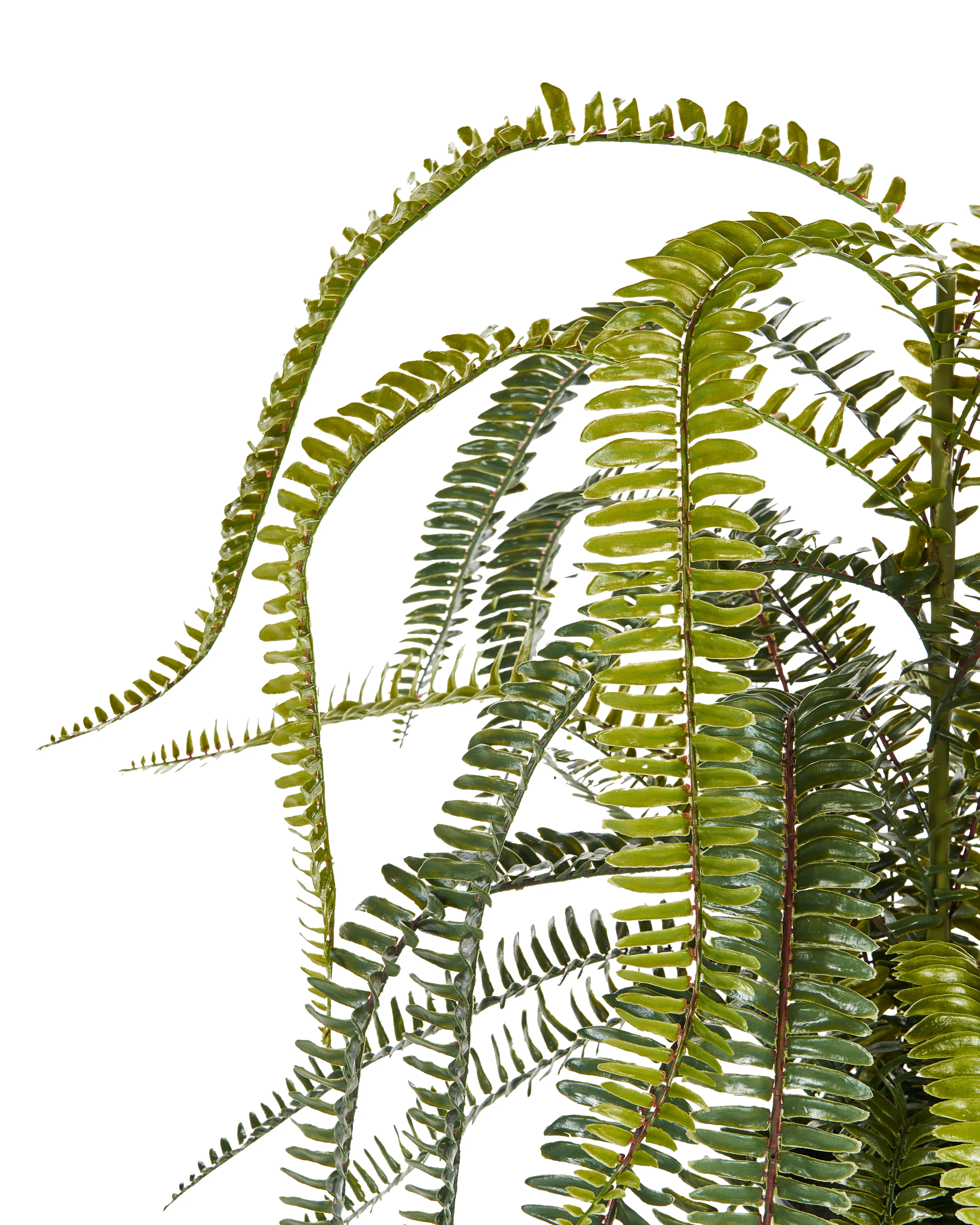 Kunstplant FERN LEAF PLANT 105 cm Groen