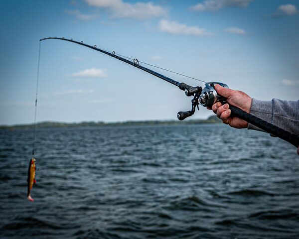 Canne Casting Savage Gear Alpha SG8 Swimbait