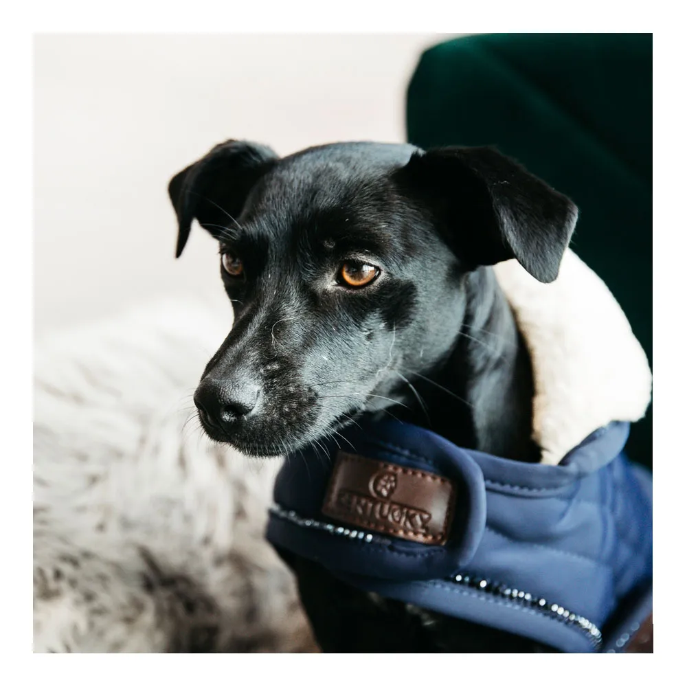 Kentucky PEARLS 160G - Couverture pour chien navy