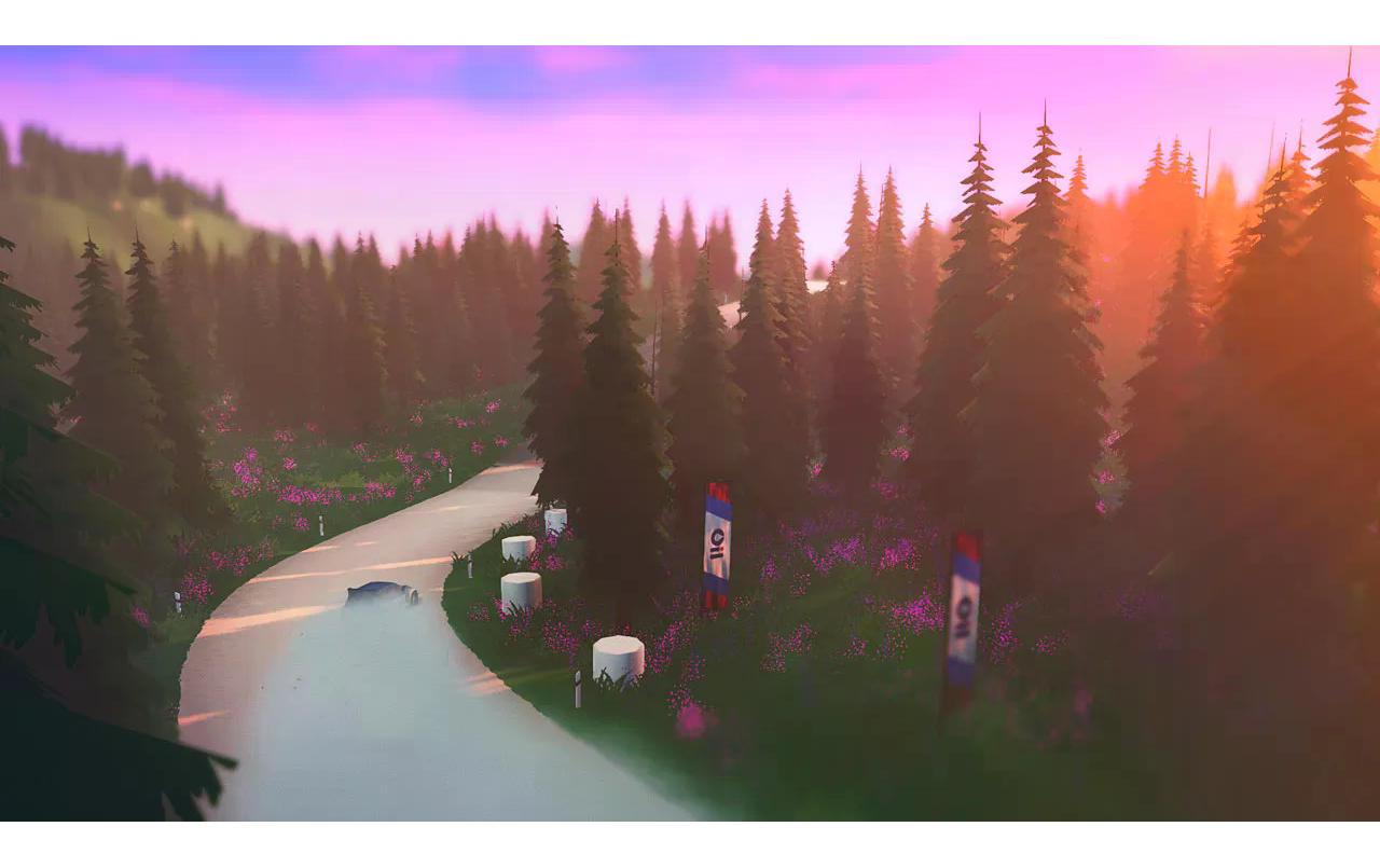Art of Rally Deluxe EditionRennspiel für die Switch
