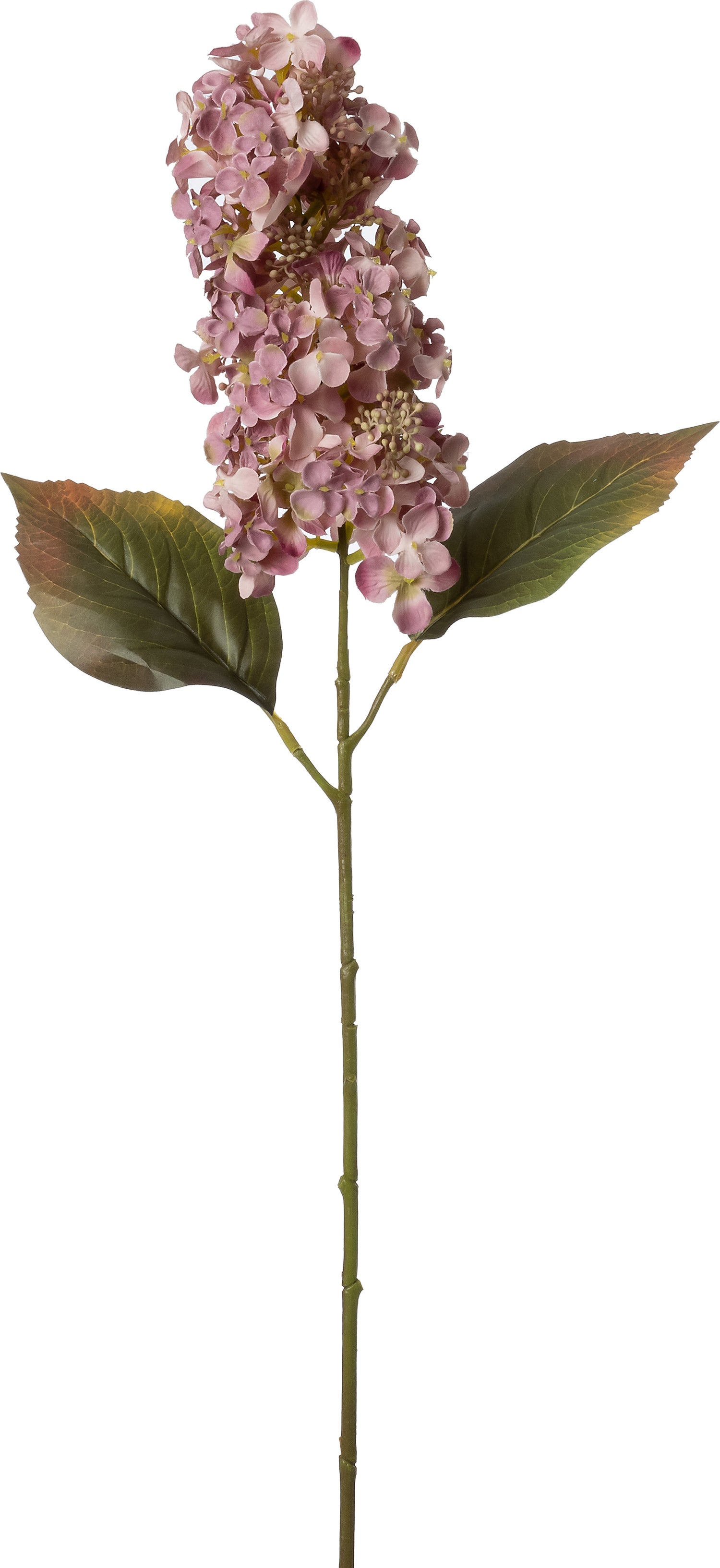 Intratuin kunstbloem Hortensia paars 66 cm