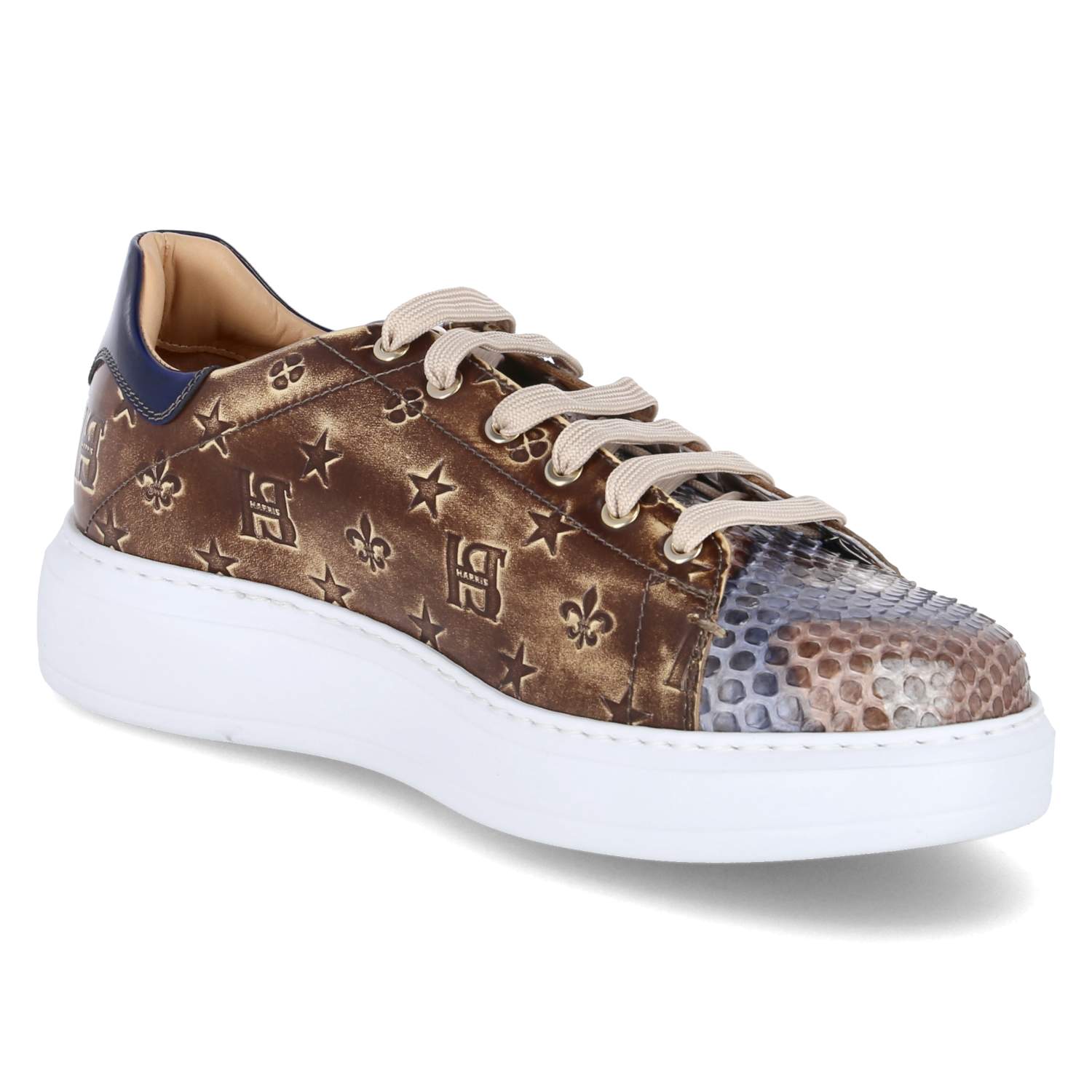 Harris Low Sneaker PAUL