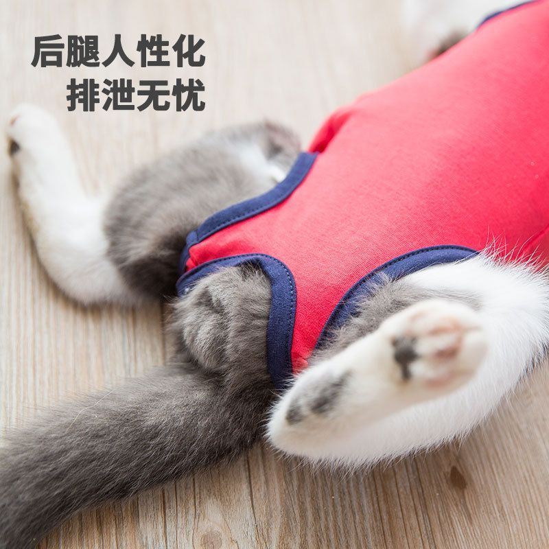 Cissilli - Print Pet Top