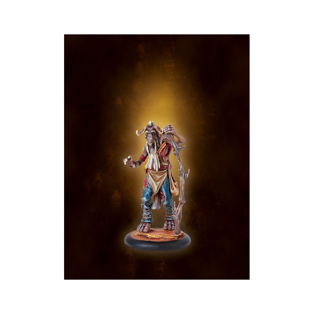 Khârn-Âges : Shaman