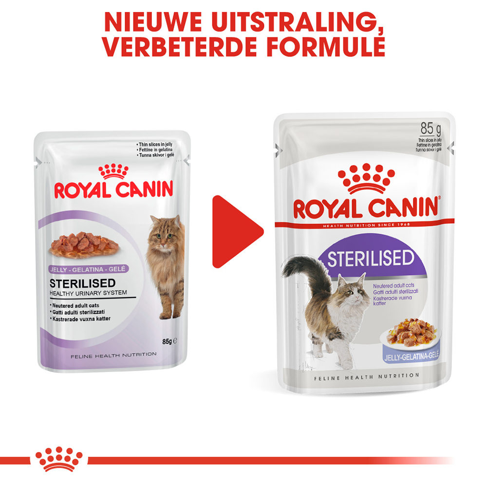 Royal Canin Sterilised in Jelly - Kattenvoer