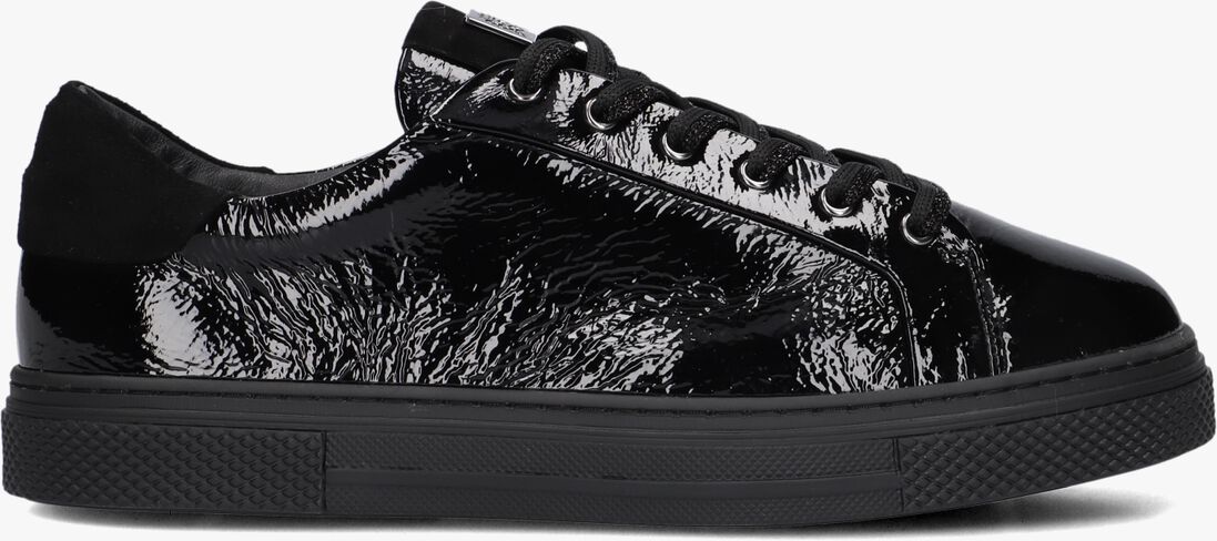 zwarte hassia lage sneakers asti