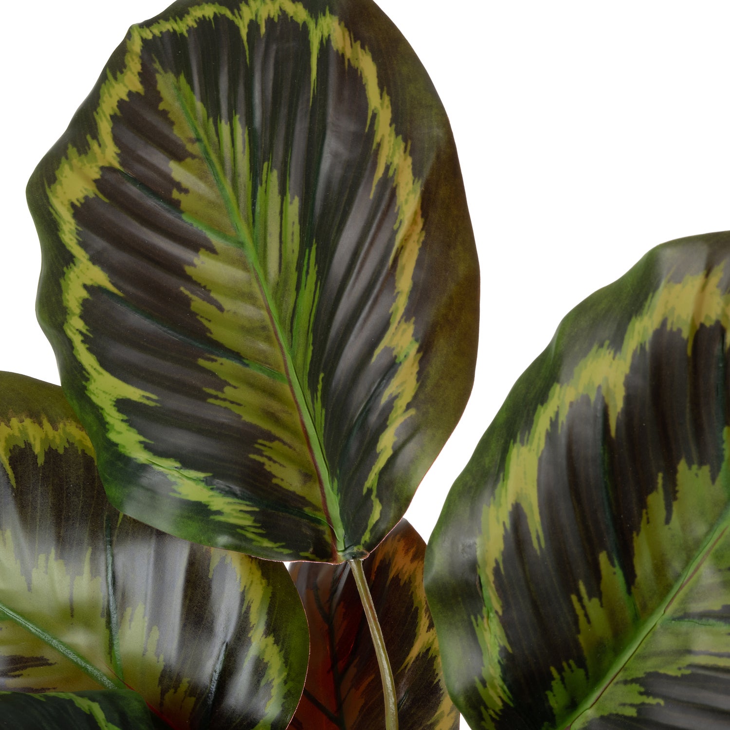 Intratuin kunstplant Calathea 32 x 32 x 38 cm