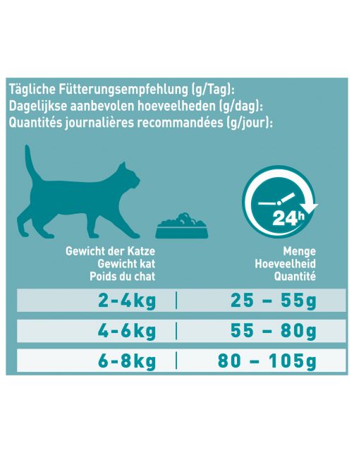 Purina One Senior - Kattenvoer