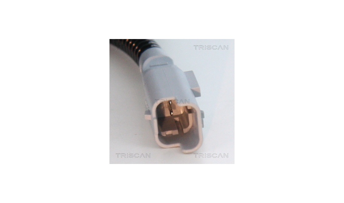ABS sensor