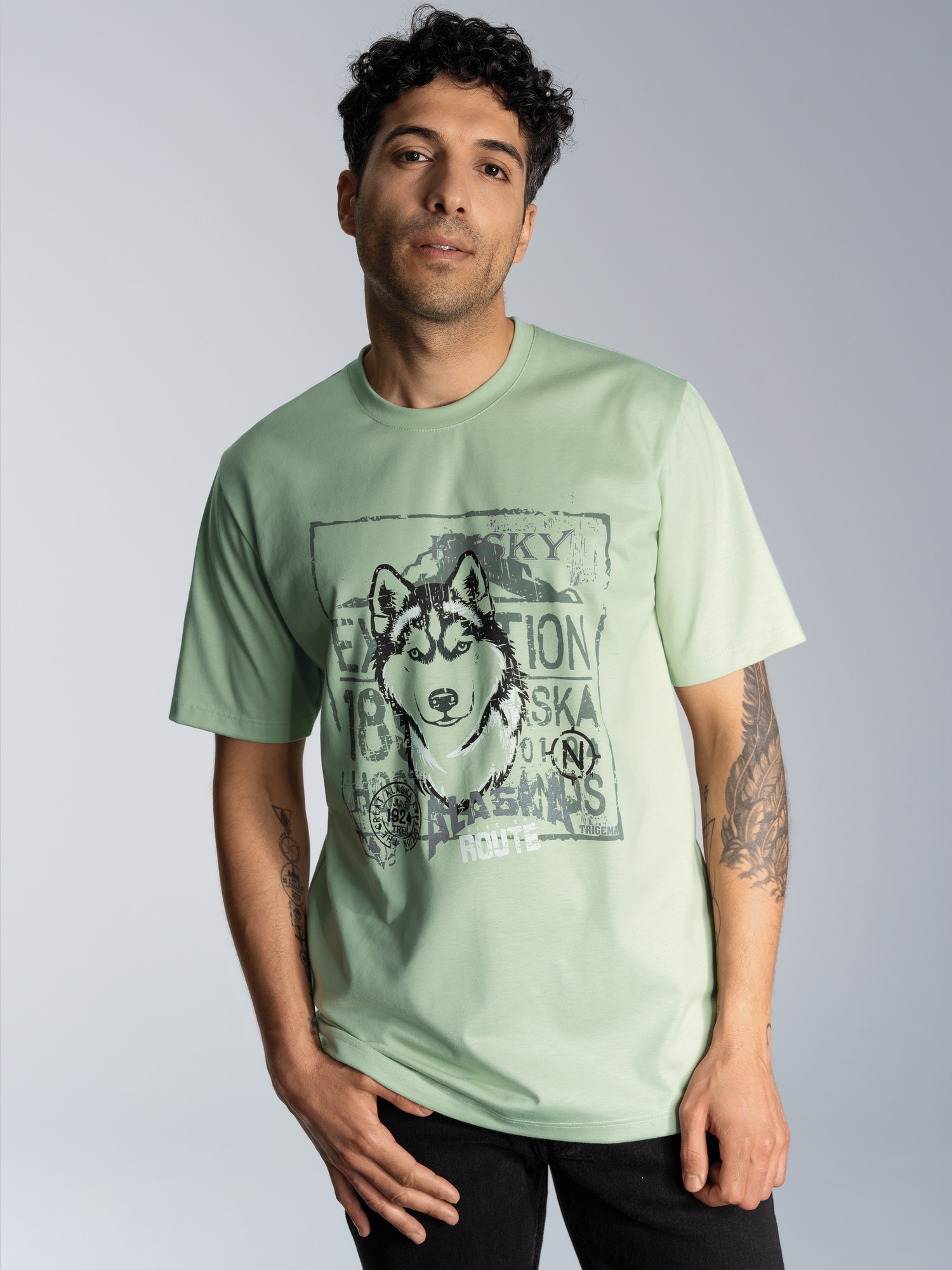 T-Shirt mit großem Husky-Printmotiv Green tea
