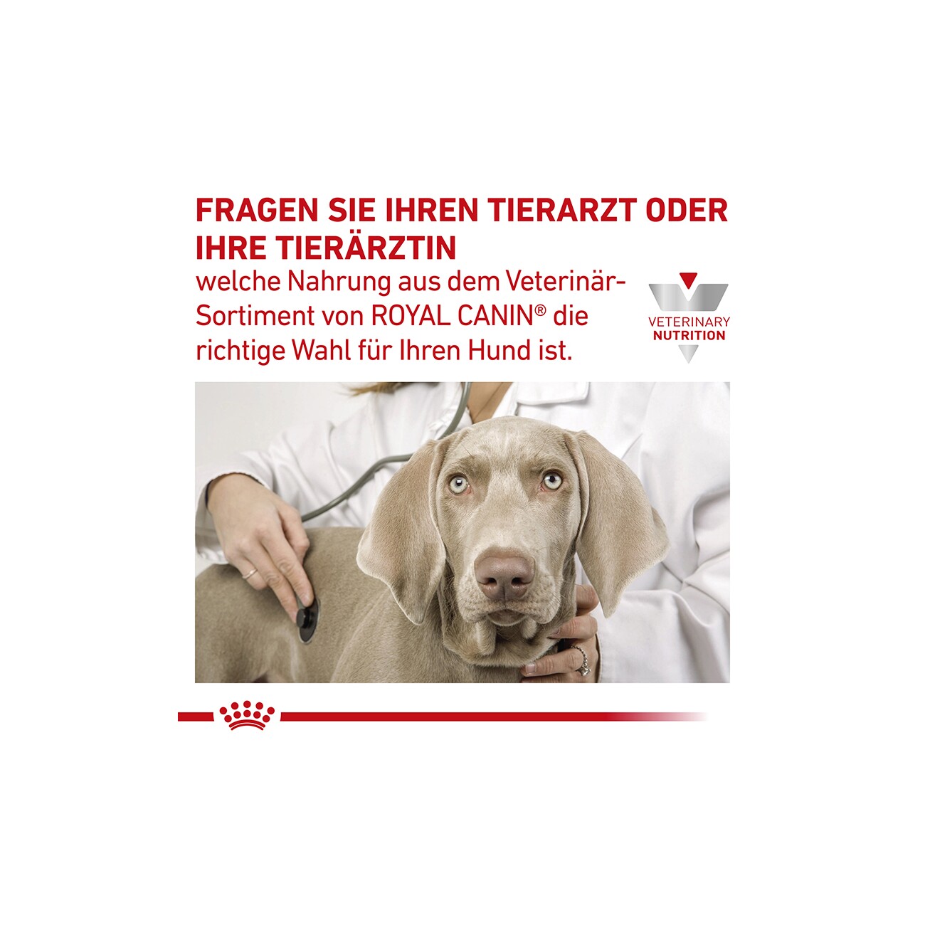 ROYAL CANIN Veterinary Gastro Intestinal Low Fat 1,5 kg