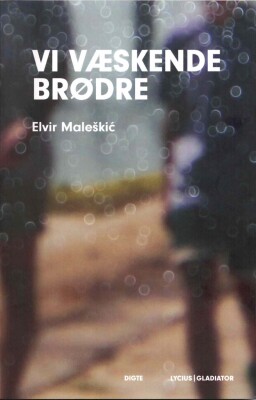 Vi Væskende Brødre - Elvir Maleškić - Bog