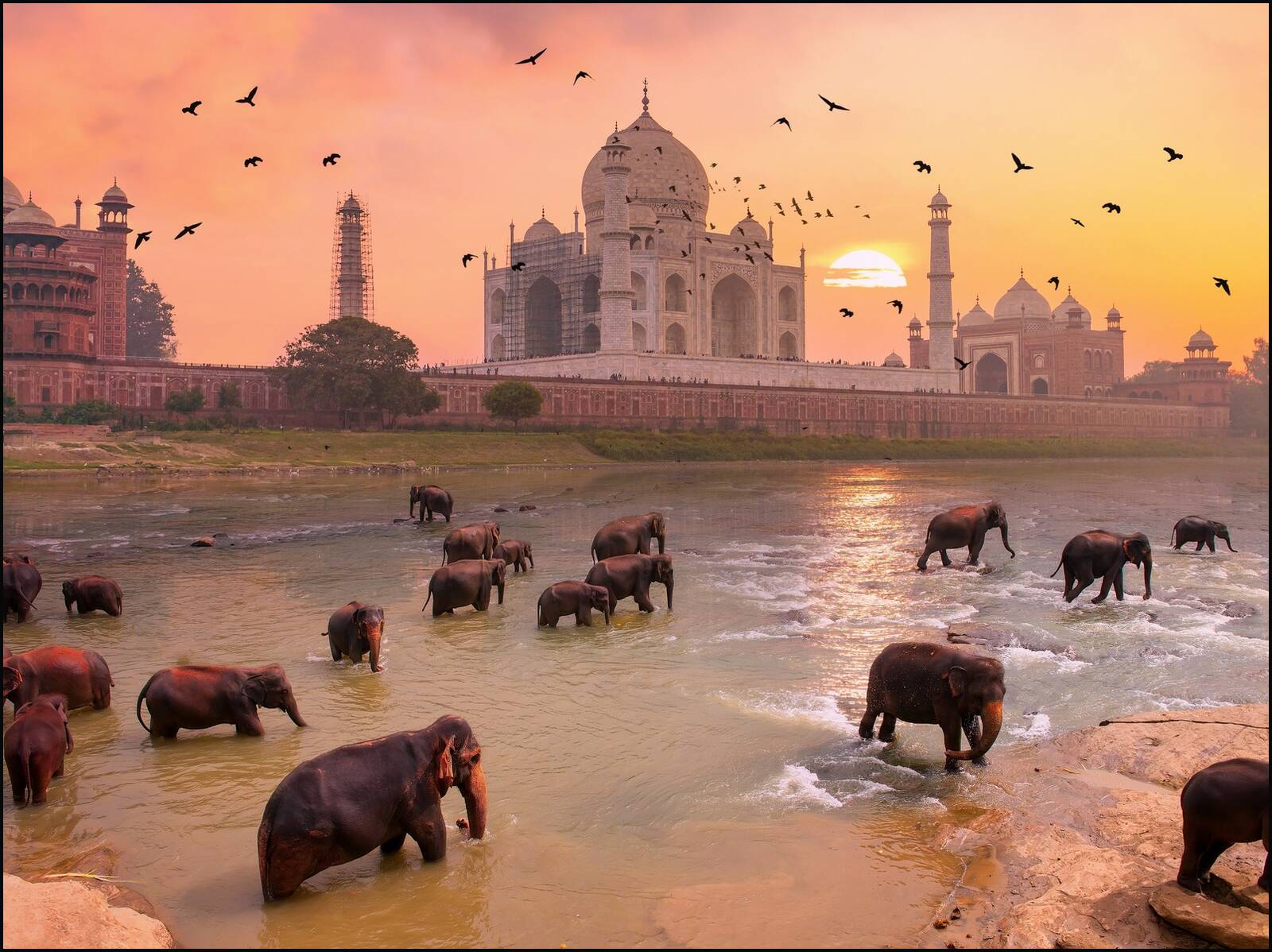 Taj Mahal Elephants by Robert Jahns - Open Edition.