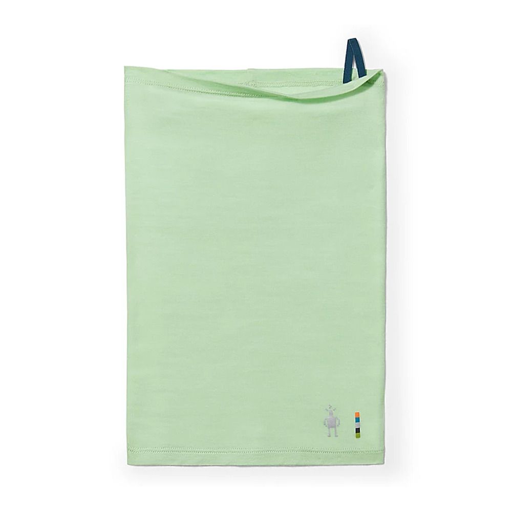 Smartwool ACTIVE ULTRALITE - Tour de cou pistachio