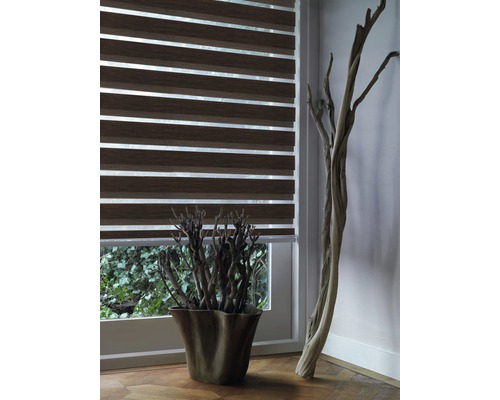 Soluna dubbel rolgordijn D-R8 met cassette, structuurbruin, 60x175 cm