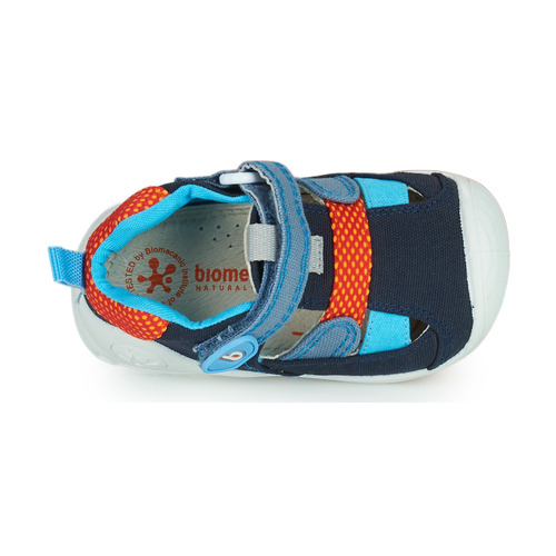 Biomecanics - ANDREA - Bleu