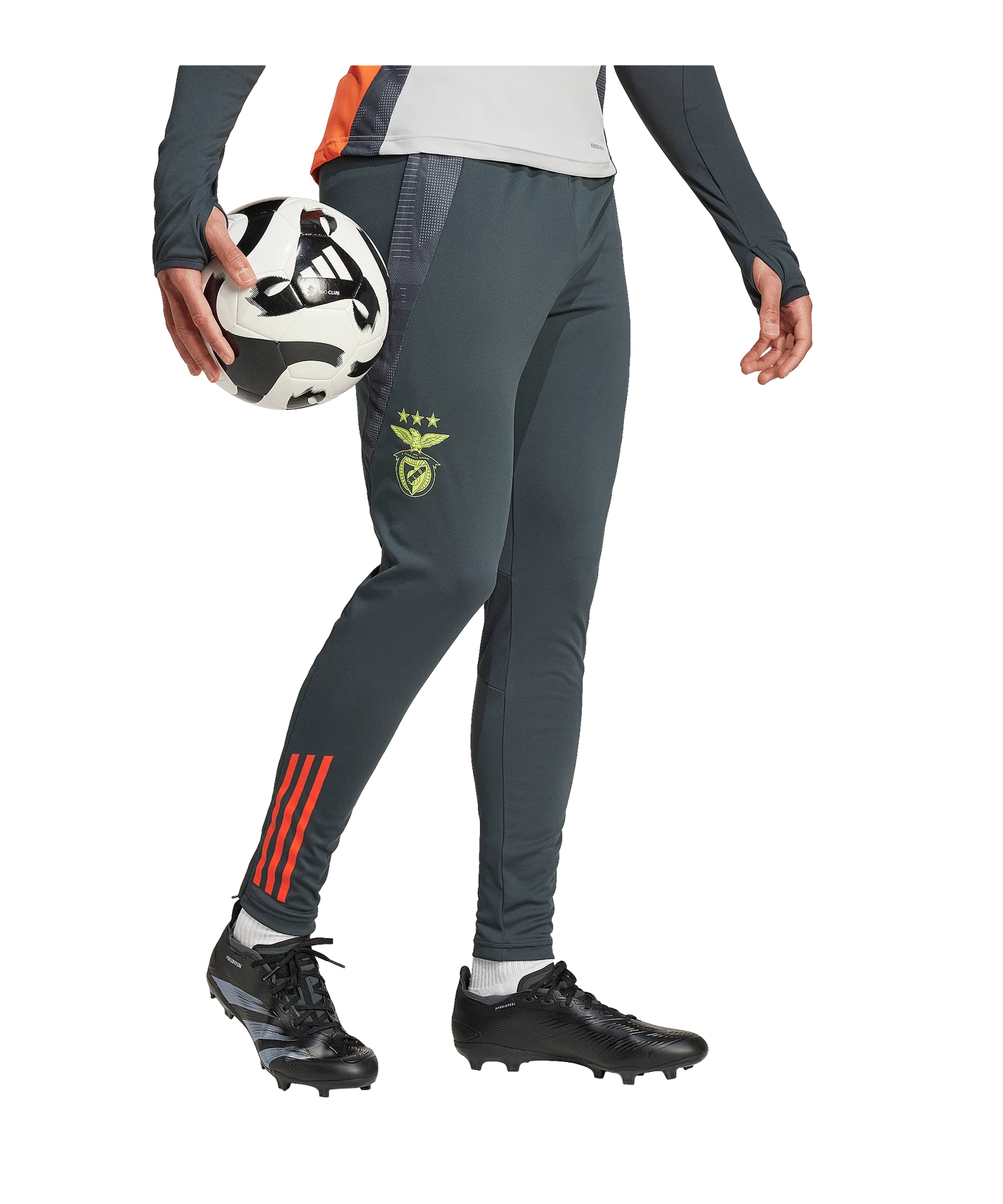 adidas Benfica Lissabon Trainingshose Grau
