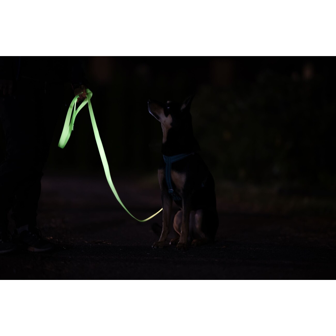 Paikka Glow Leash weiß 1,5 cm