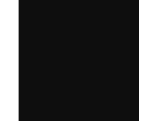 VIDAXL - Penderie Porte-vêtements et rangement des chaussures noir 70x34x184 c...