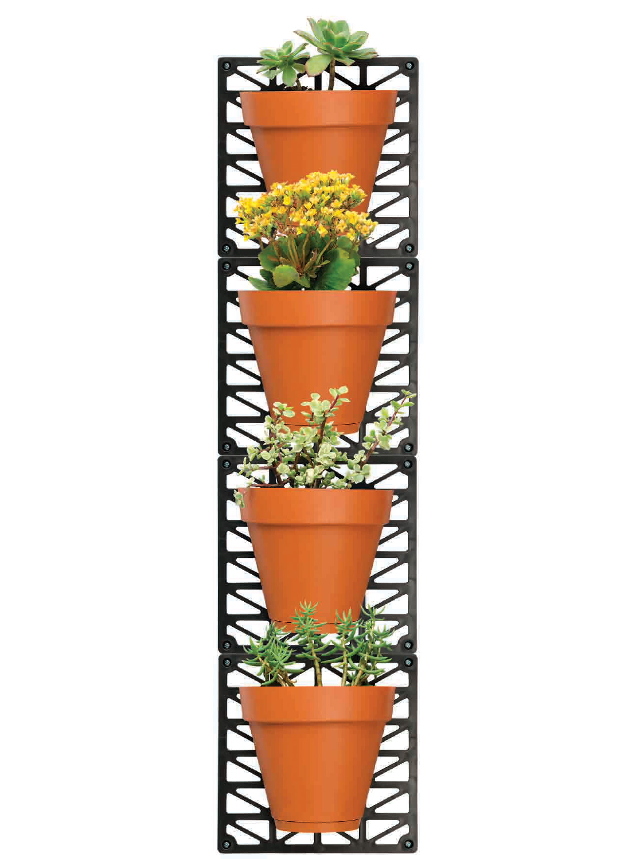 4 pots avec support mural