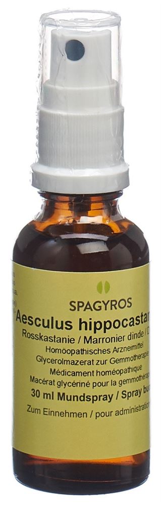 Spagyros Aesculus hippocastanum 1 D<br>30 ml, Spray, Glycerinmazerat