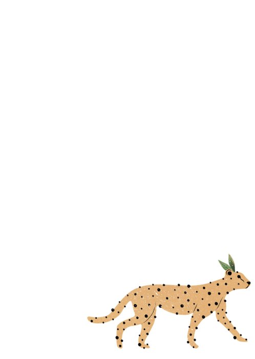 Melolelo | Verjaardag | Tijger