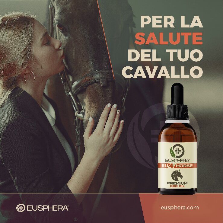 CBD-Ergänzung für die Pferdegesundheit - Eusphera EU4HORSE
