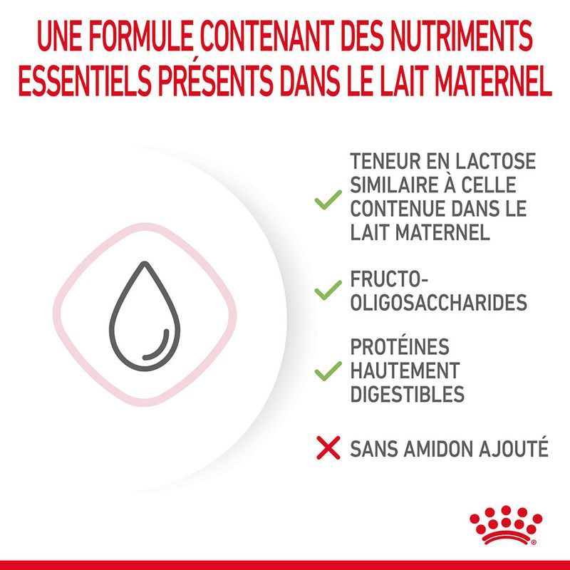 Lait maternisé Royal Canin Babycat à prix discount sur bitiba.fr