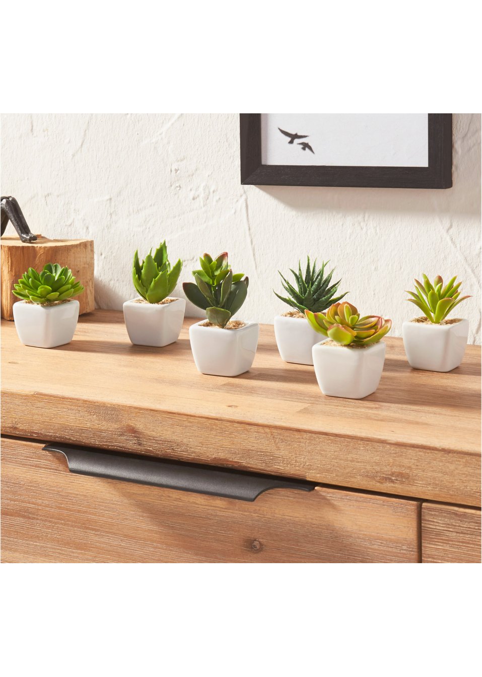 Mini-succulentes artificielles (Ens. 6 pces.)